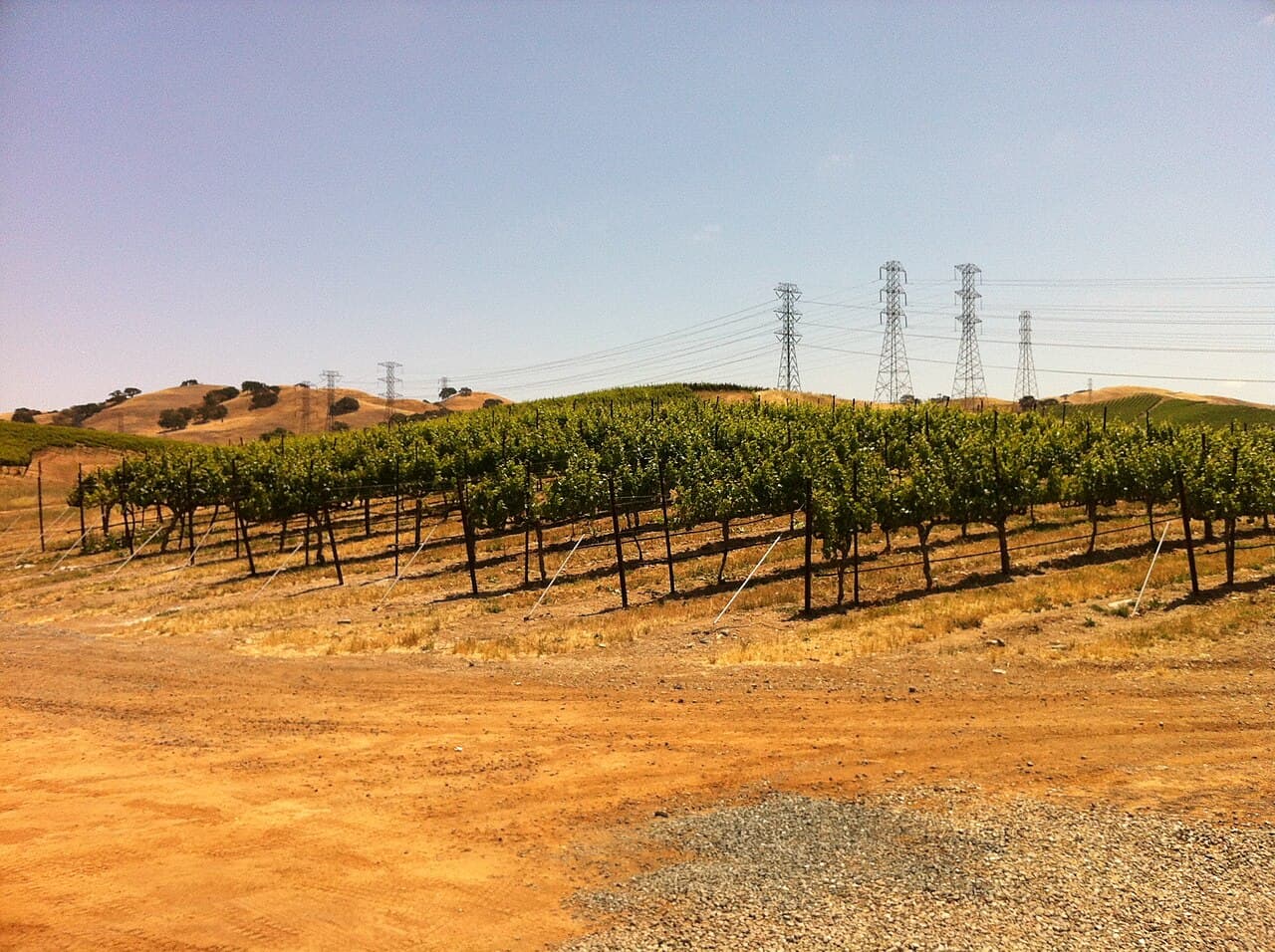 Vineyards in the Livermore Valley, Tri-Valley California